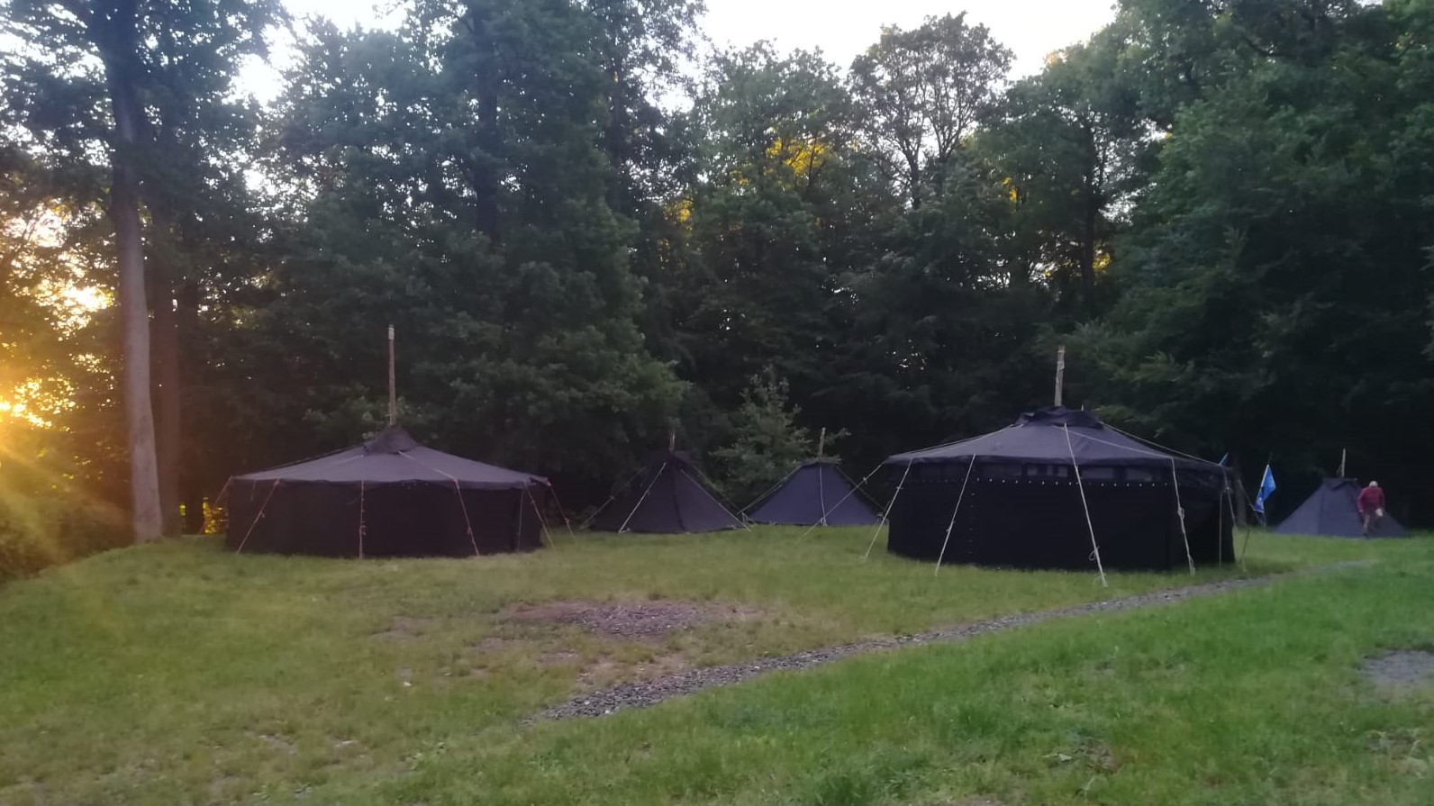 Im Sonnenuntergang stehen mehrere Schwarzzelte auf einer Wiese im Wald